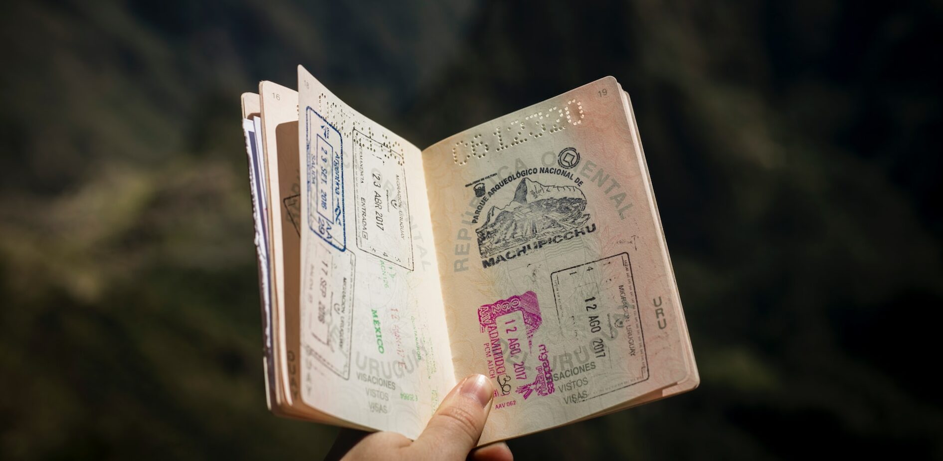 What Are The Different Types Of Multiple Entry Visas?